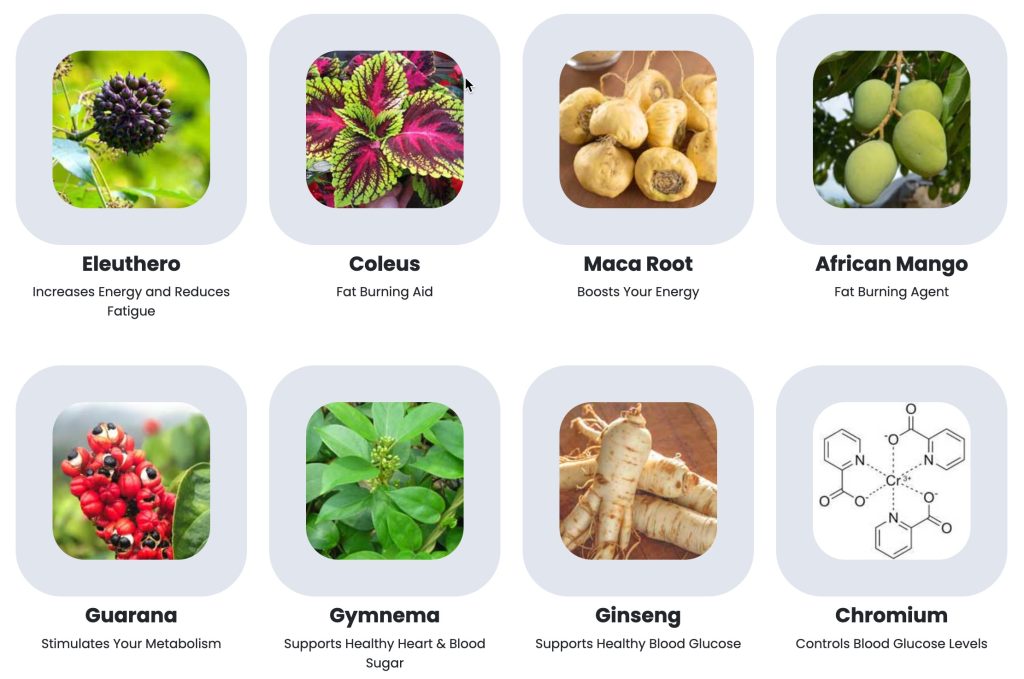 Pre Diabetes Sugar Defence: Supporting Healthy Blood Sugar Levels Naturally Natural Ingredience For Diabetes