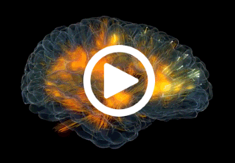 Supercharging Your Health with Fast Brain Booster